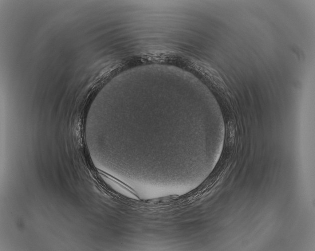 X0000111591060200908131336