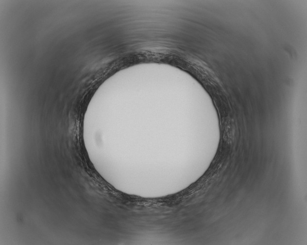 X0000111591061200908131336