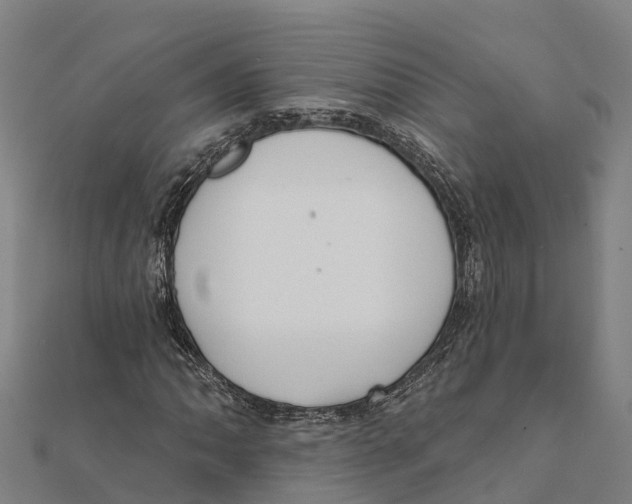 X0000111591062200908131336