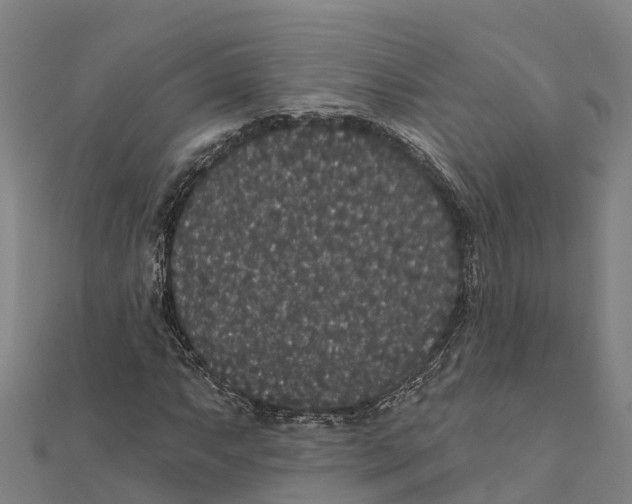X0000111591063200908131336