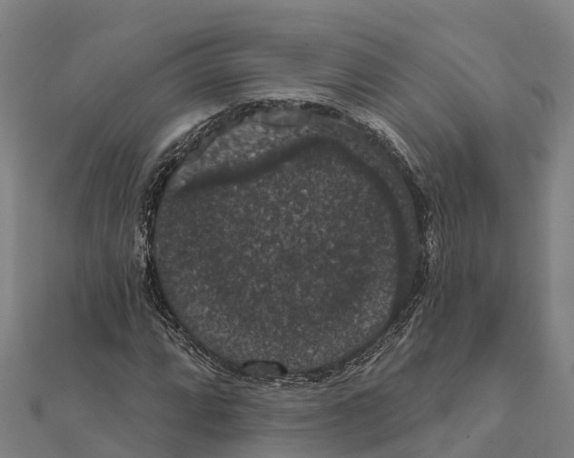 X0000111591064200908131336