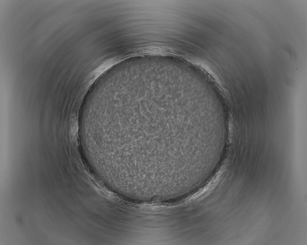 X0000111591065200908131336