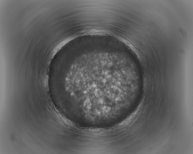 X0000111591066200908131336