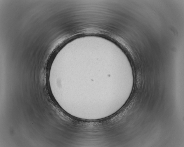 X0000111591067200908131335