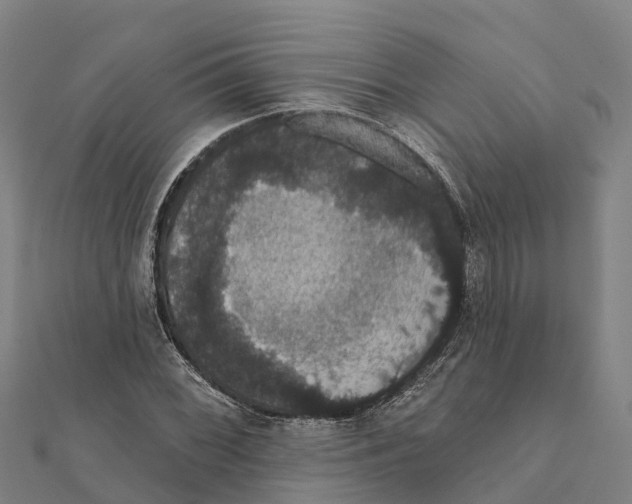X0000111591068200908131335