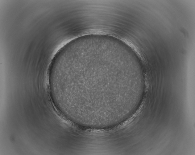 X0000111591070200908131335