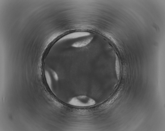 X0000111591071200908131335