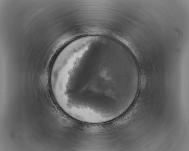 X0000111591074200908131335