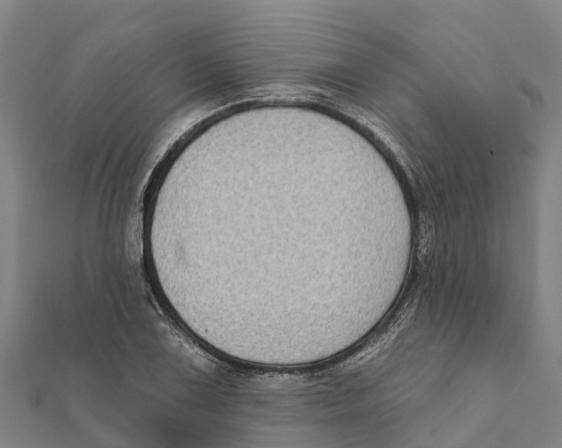 X0000111591075200908131335