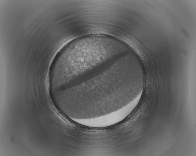 X0000111591076200908131335