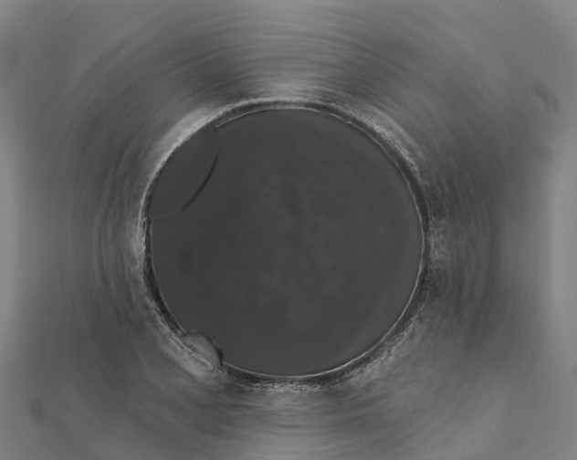X0000111591077200908131335