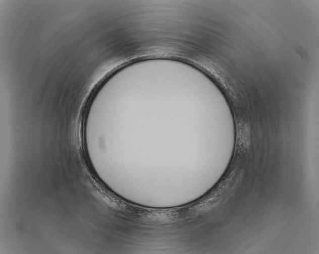 X0000111591078200908131335