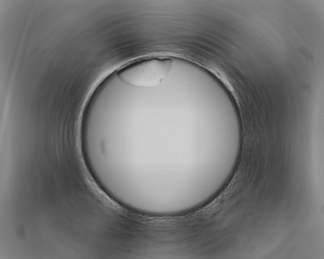X0000111591080200908131335