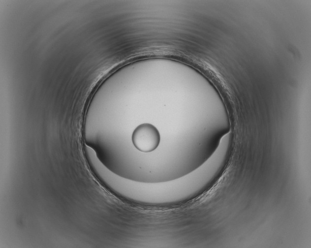 X0000111591081200908131335