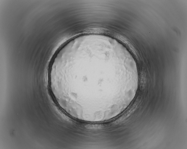 X0000111591083200908131335