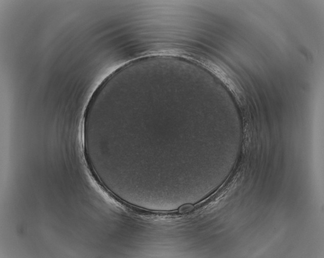 X0000111591084200908131335