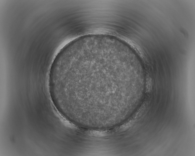 X0000111591086200908131335