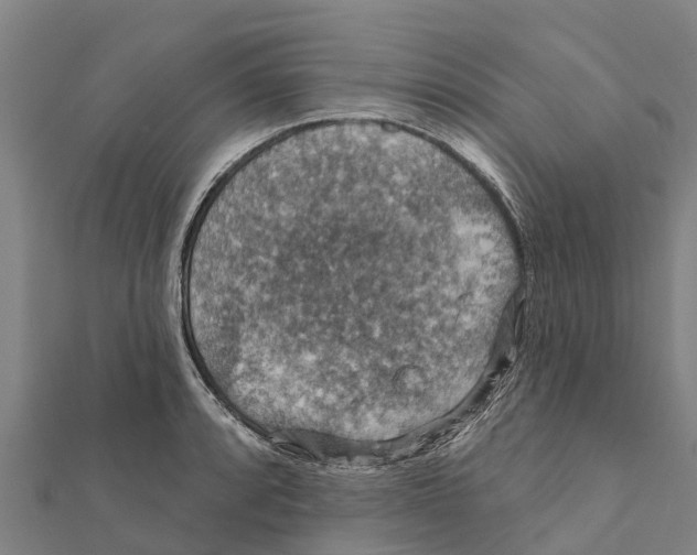 X0000111591088200908131335
