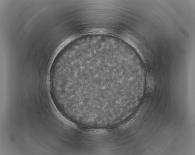 X0000111591090200908131335