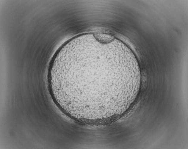 X0000111591091200908131335