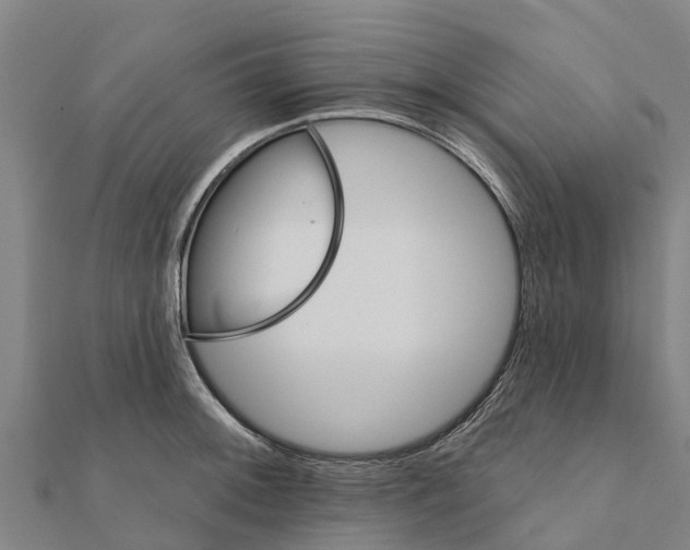 X0000111591092200908131335