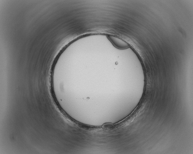 X0000111591093200908131335
