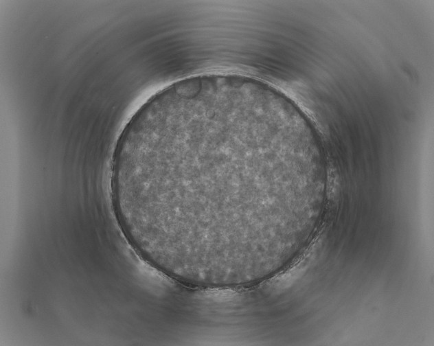 X0000111591094200908131335