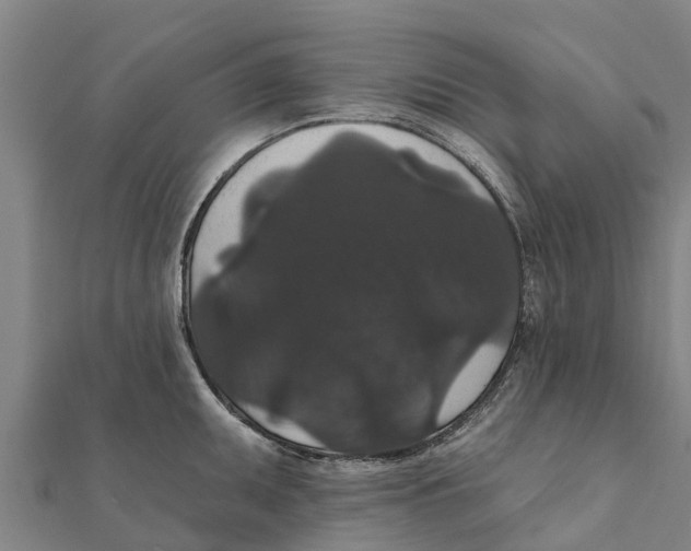 X0000111591095200908131335