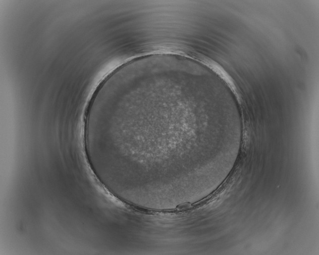 X0000111591096200908131335