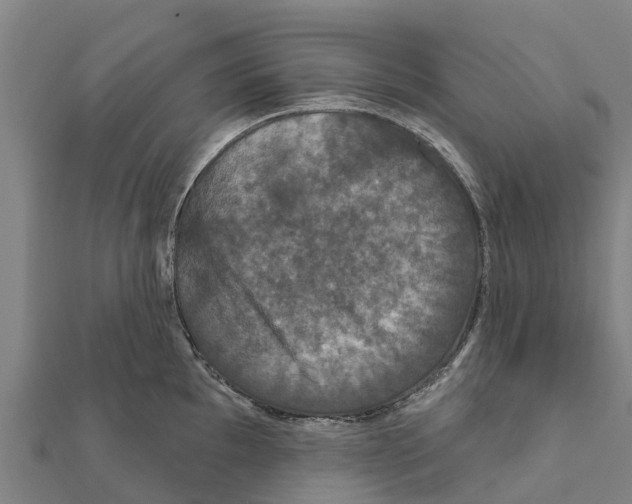 X0000111591097200908131335