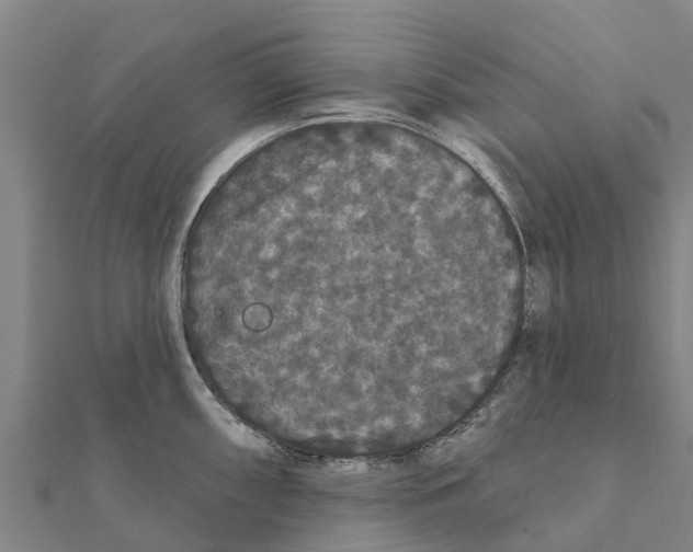 X0000111591098200908131335