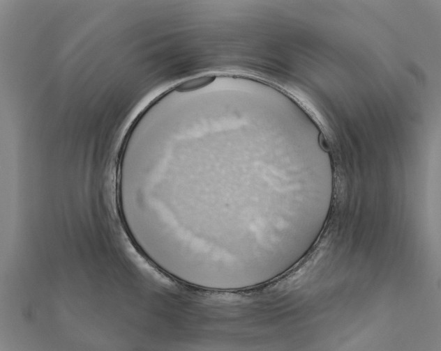 X0000111591100200908131335