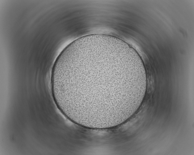 X0000111591103200908131335