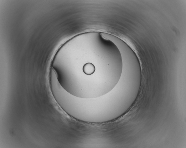 X0000111591104200908131335