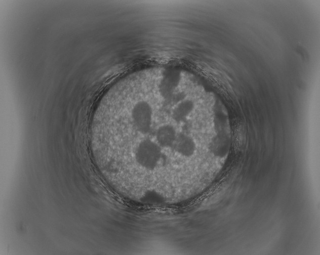 X0000111591105200908131334