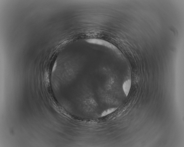 X0000111591106200908131334