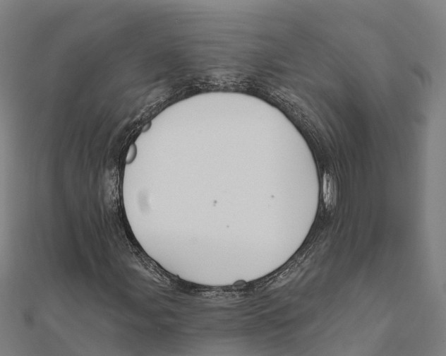 X0000111591107200908131334