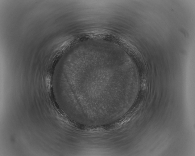 X0000111591108200908131334