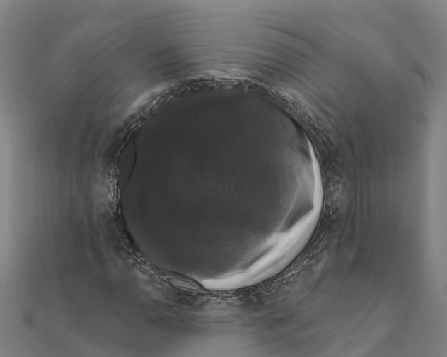 X0000111591110200908131334