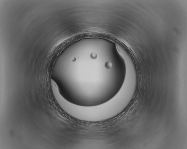 X0000111591112200908131334