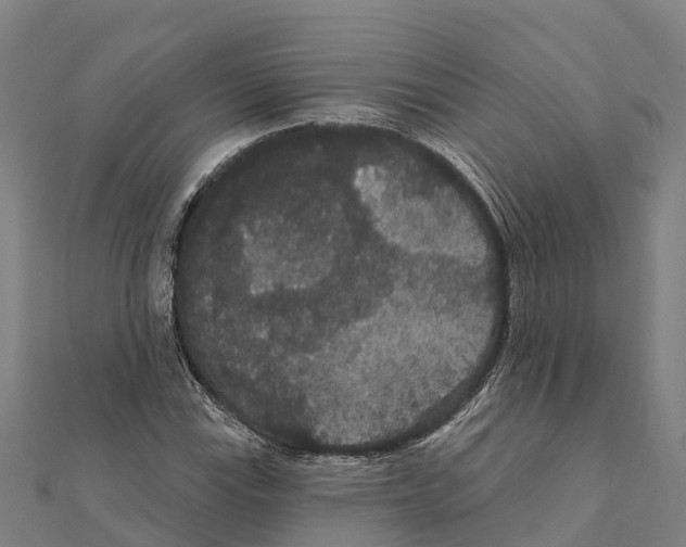 X0000111591115200908131334