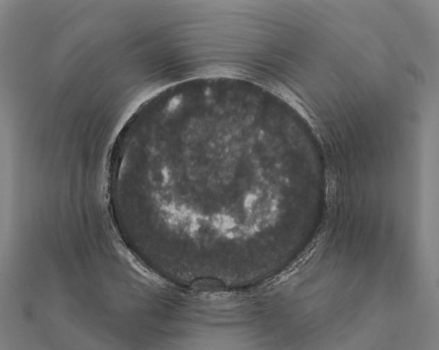 X0000111591116200908131334