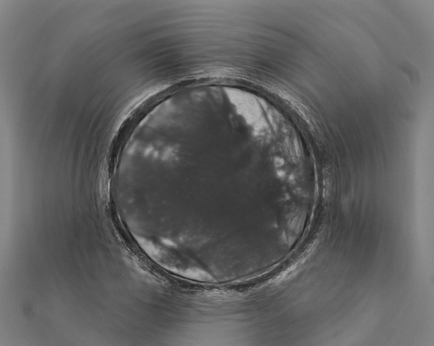 X0000111591117200908131334