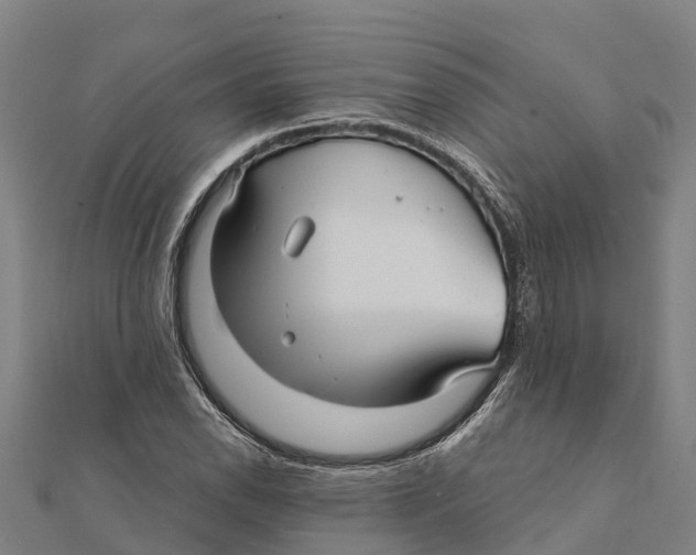X0000111591118200908131334