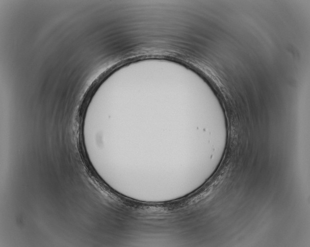 X0000111591119200908131334