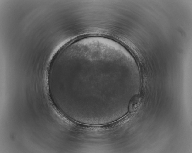 X0000111591120200908131334