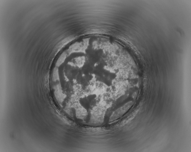 X0000111591121200908131334