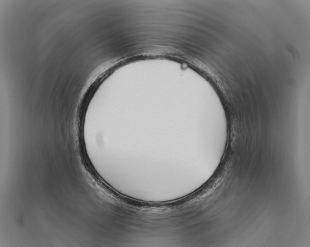 X0000111591122200908131334