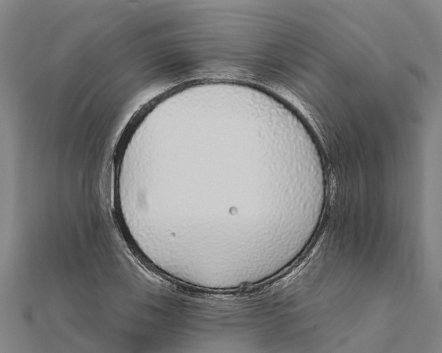 X0000111591123200908131334