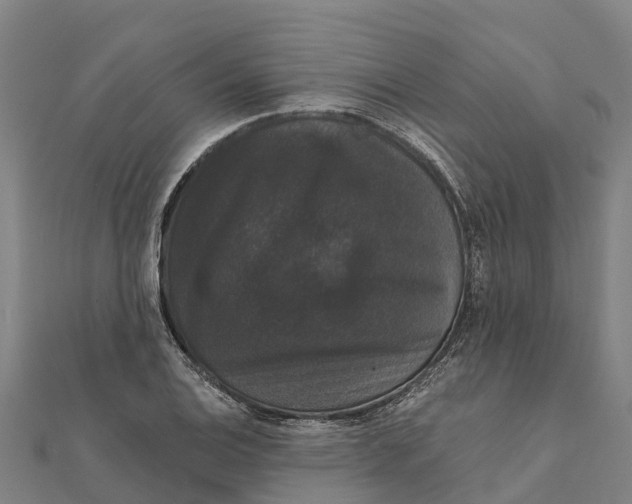 X0000111591124200908131334
